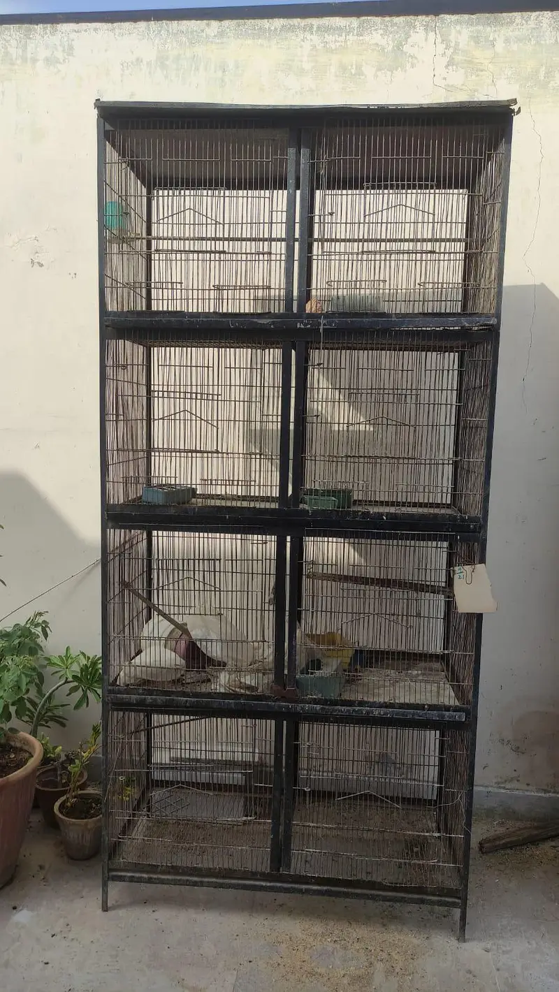 Bird Cages — photo 7