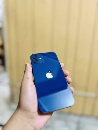 Apple iPhone 12