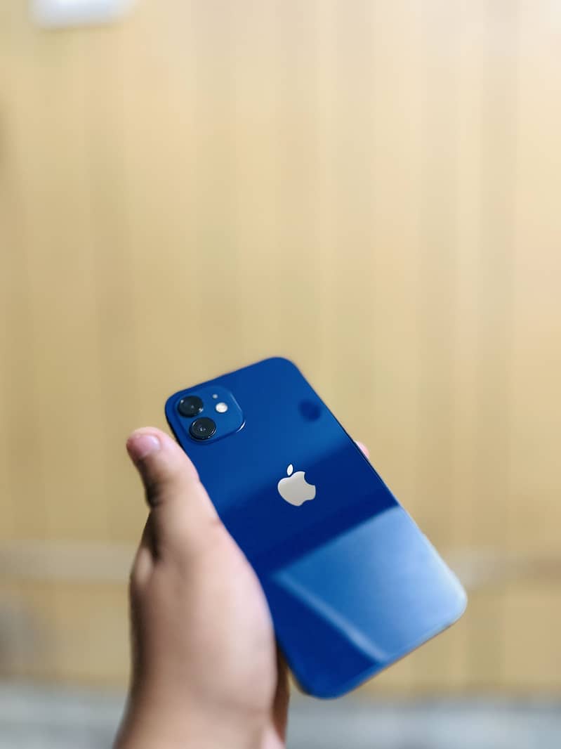 Apple iPhone 12 1