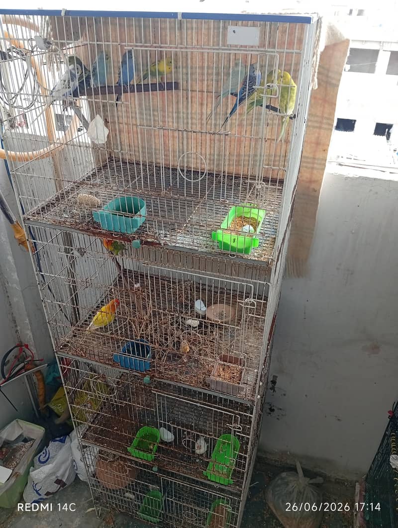 4 portion cage 1