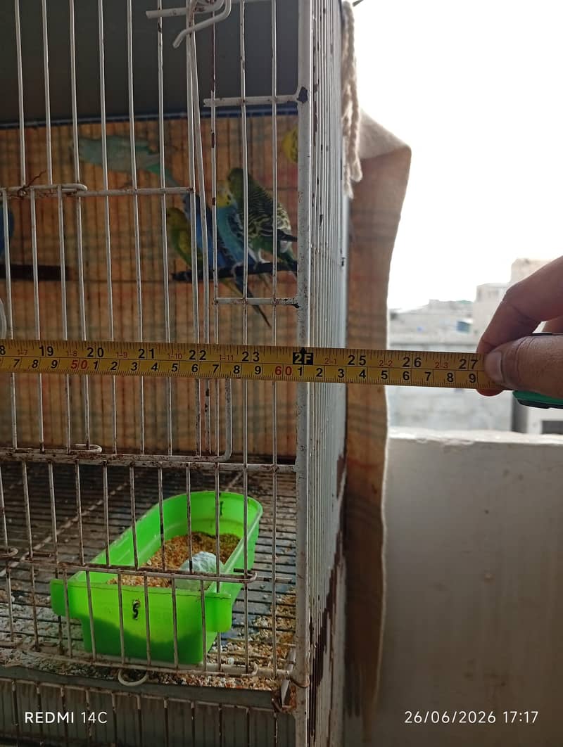 4 portion cage 5