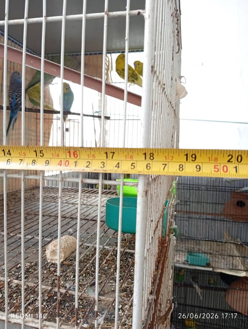 4 portion cage 6