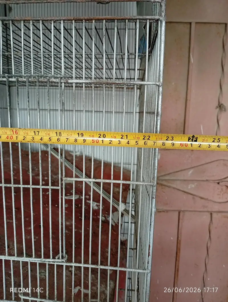 4 portion cage — photo 8