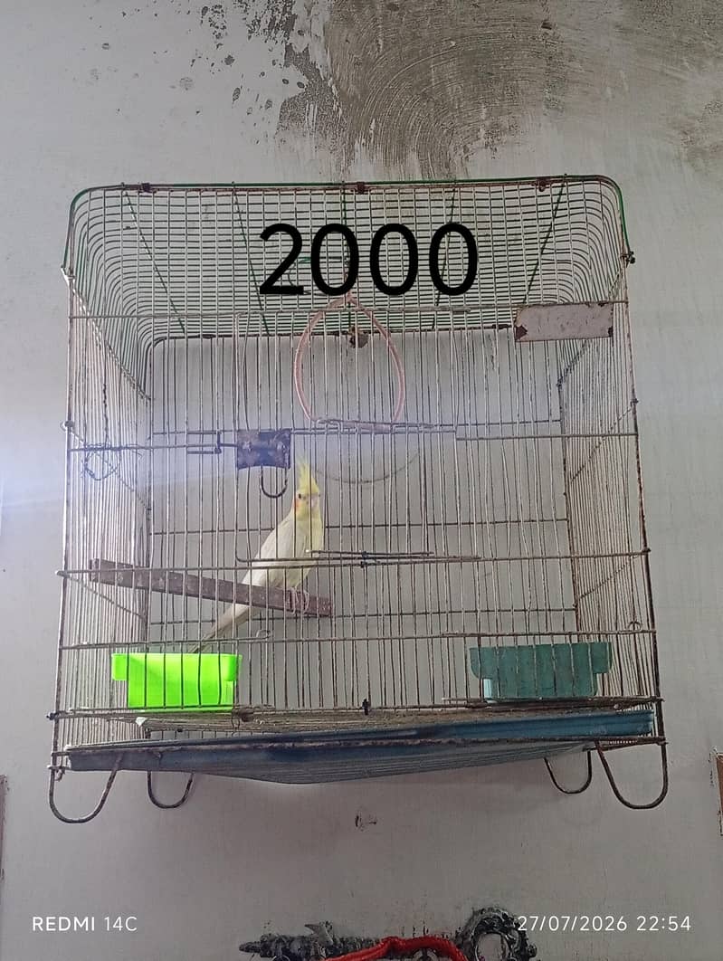 4 portion cage 9