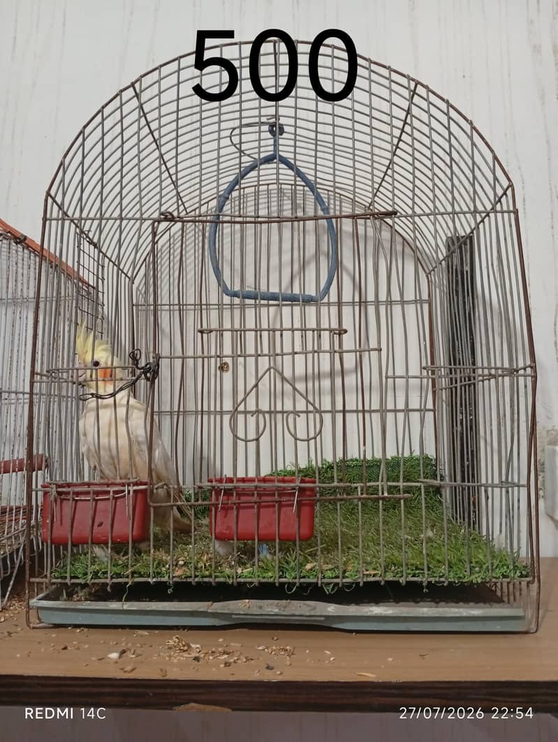 4 portion cage 10