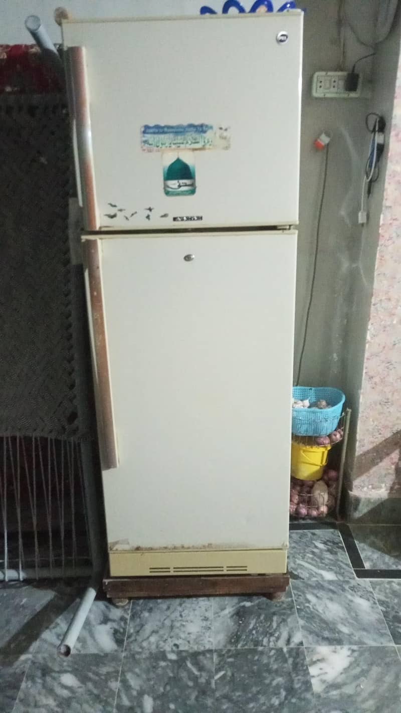 Pel medium size 0