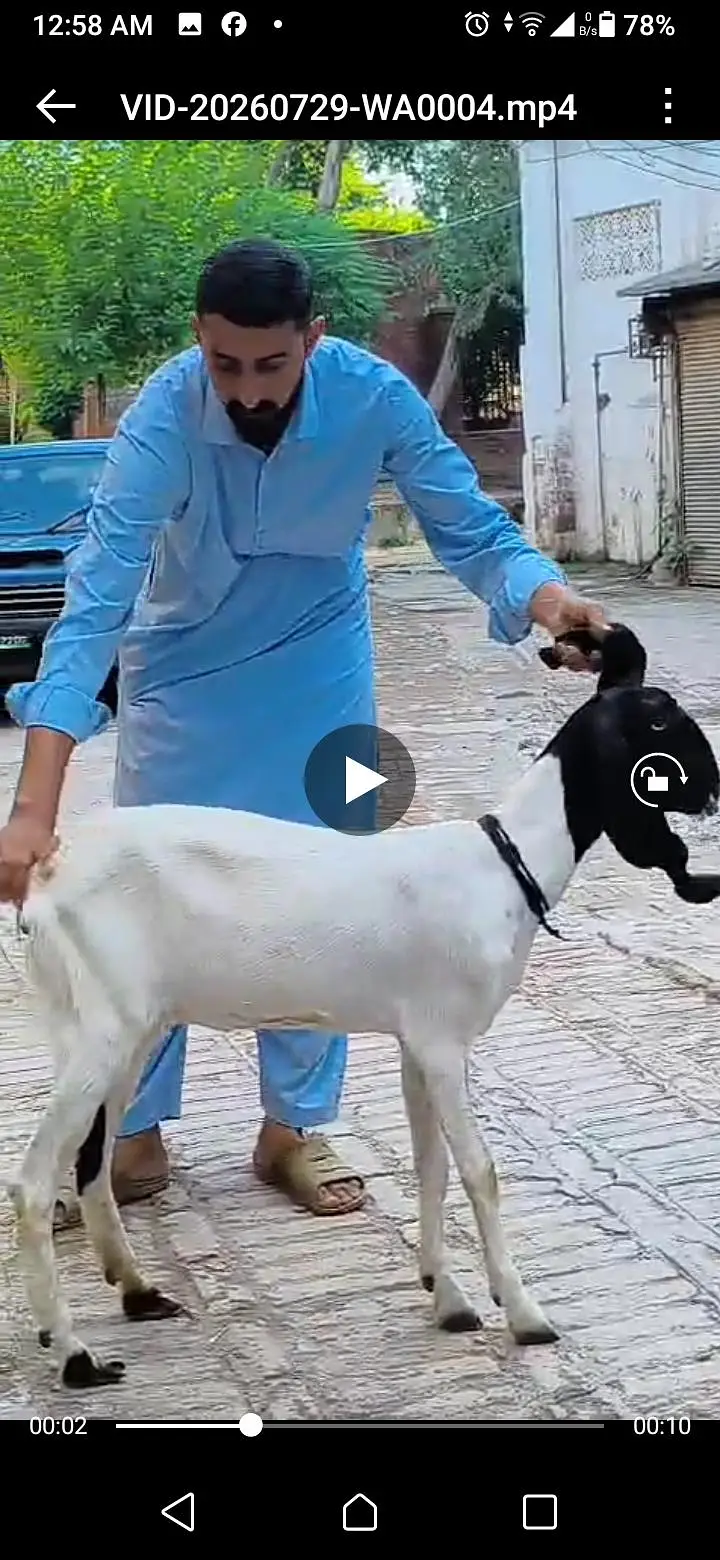 one pair and one mother got in Peshawar tehsil Park — photo 2