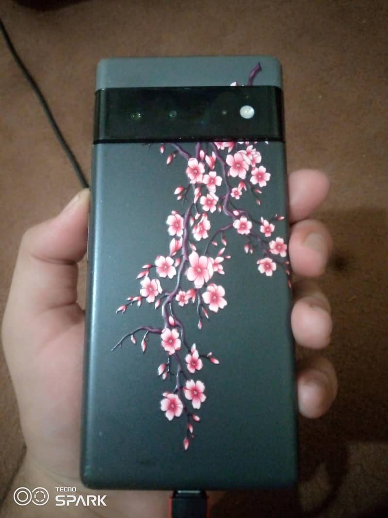 Google Pixel 6 Pro 1
