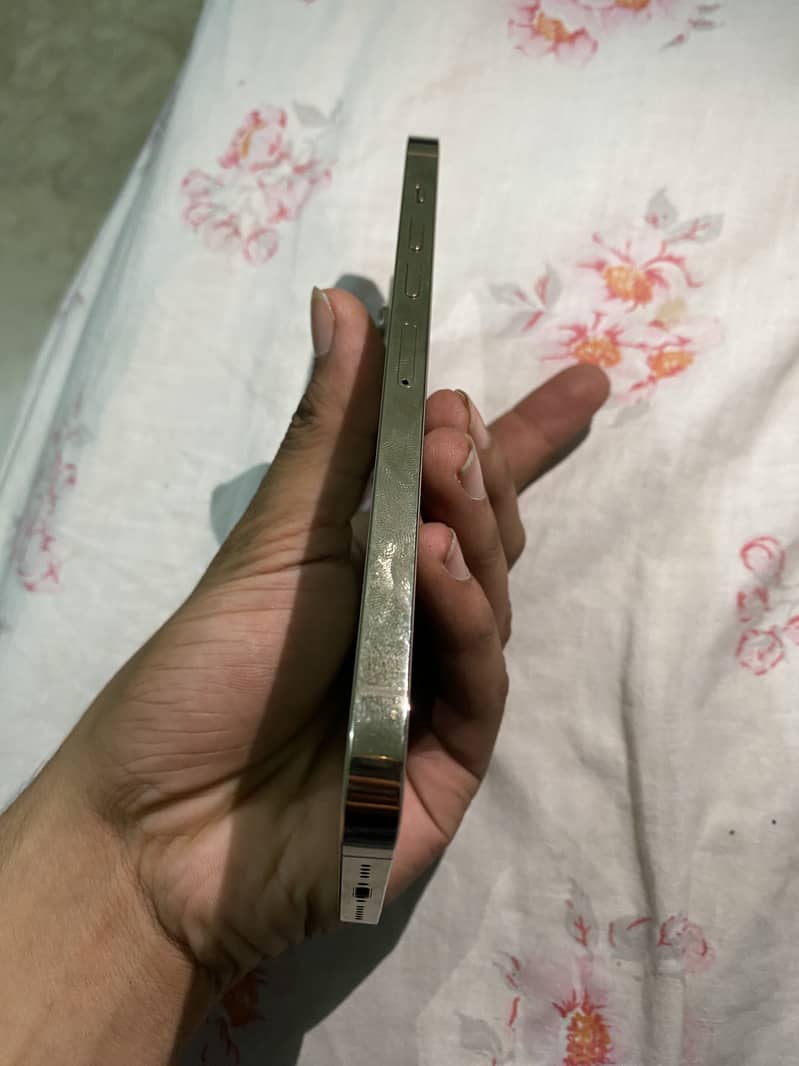 Apple iPhone 13 Pro Max 1