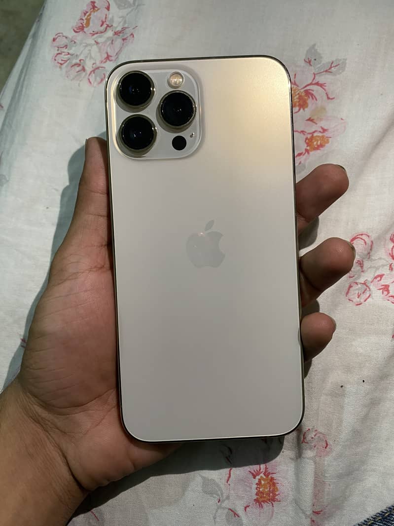 Apple iPhone 13 Pro Max 2