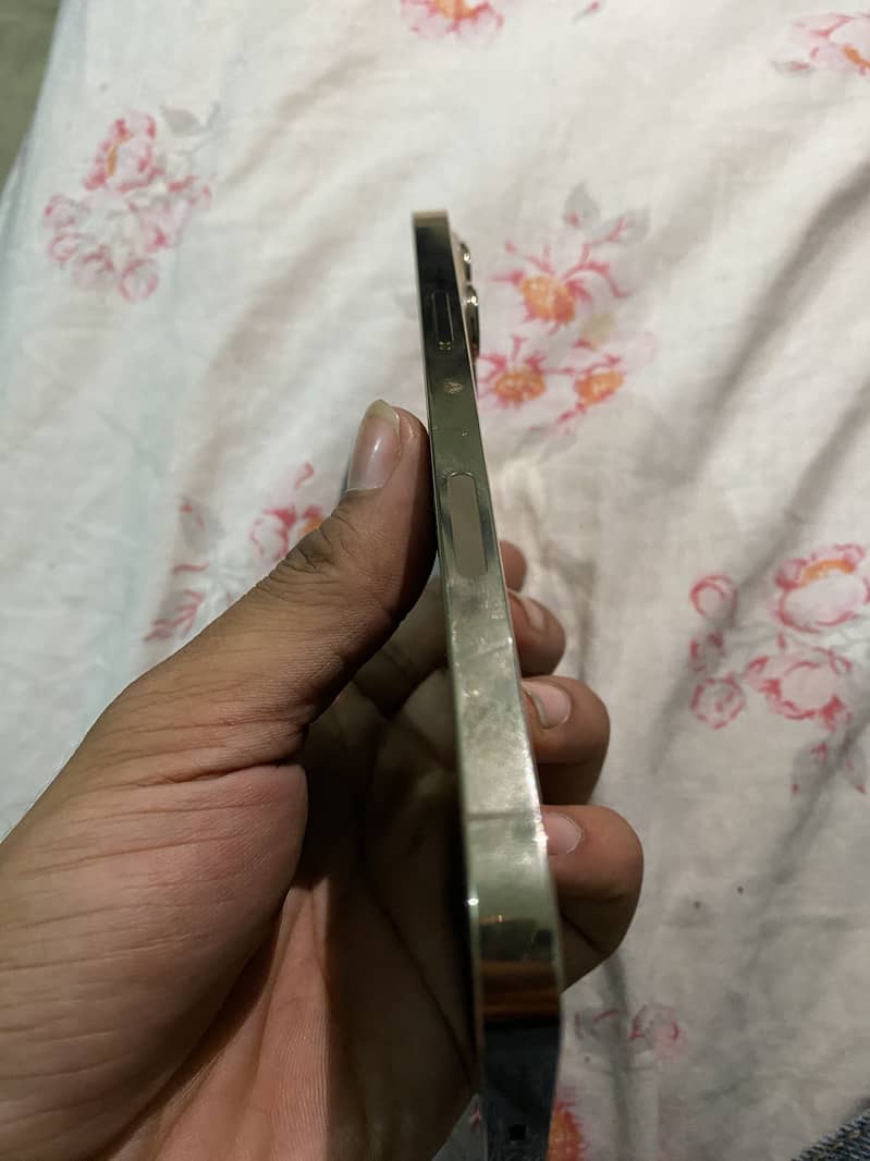Apple iPhone 13 Pro Max 4