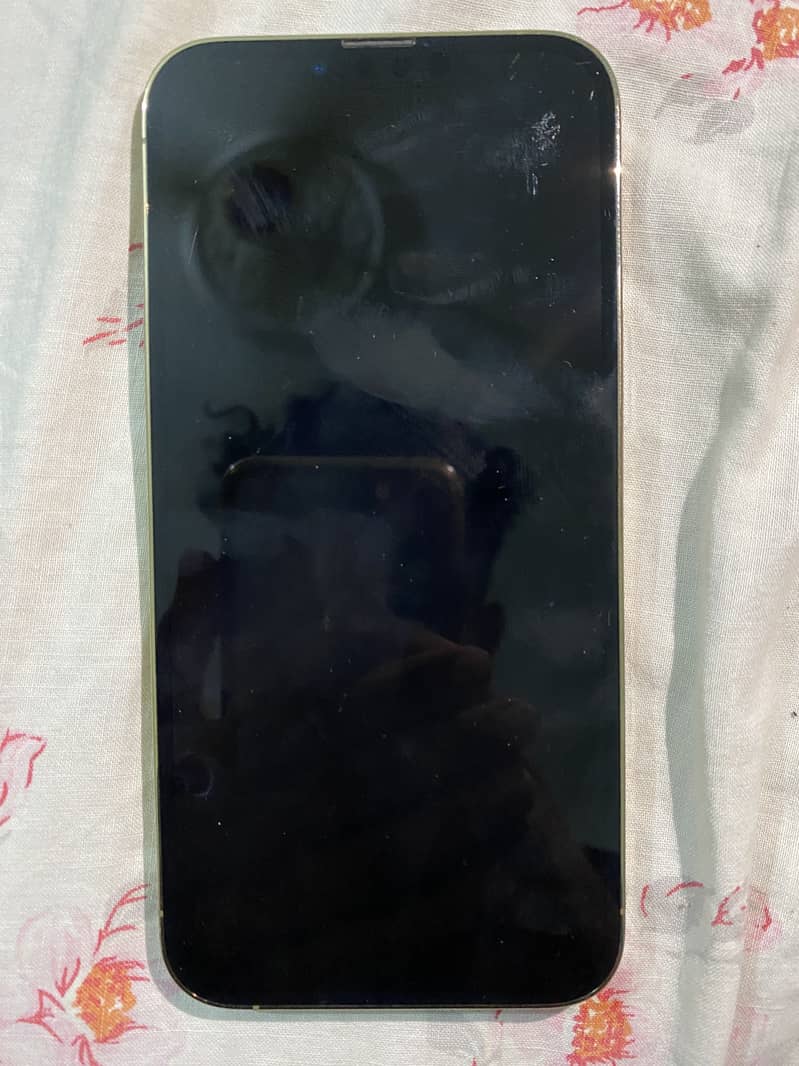 Apple iPhone 13 Pro Max 5