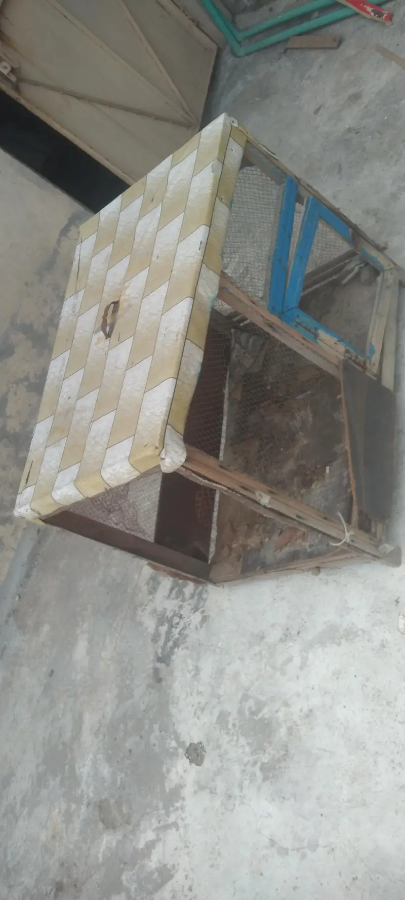 Wood cage — photo 2