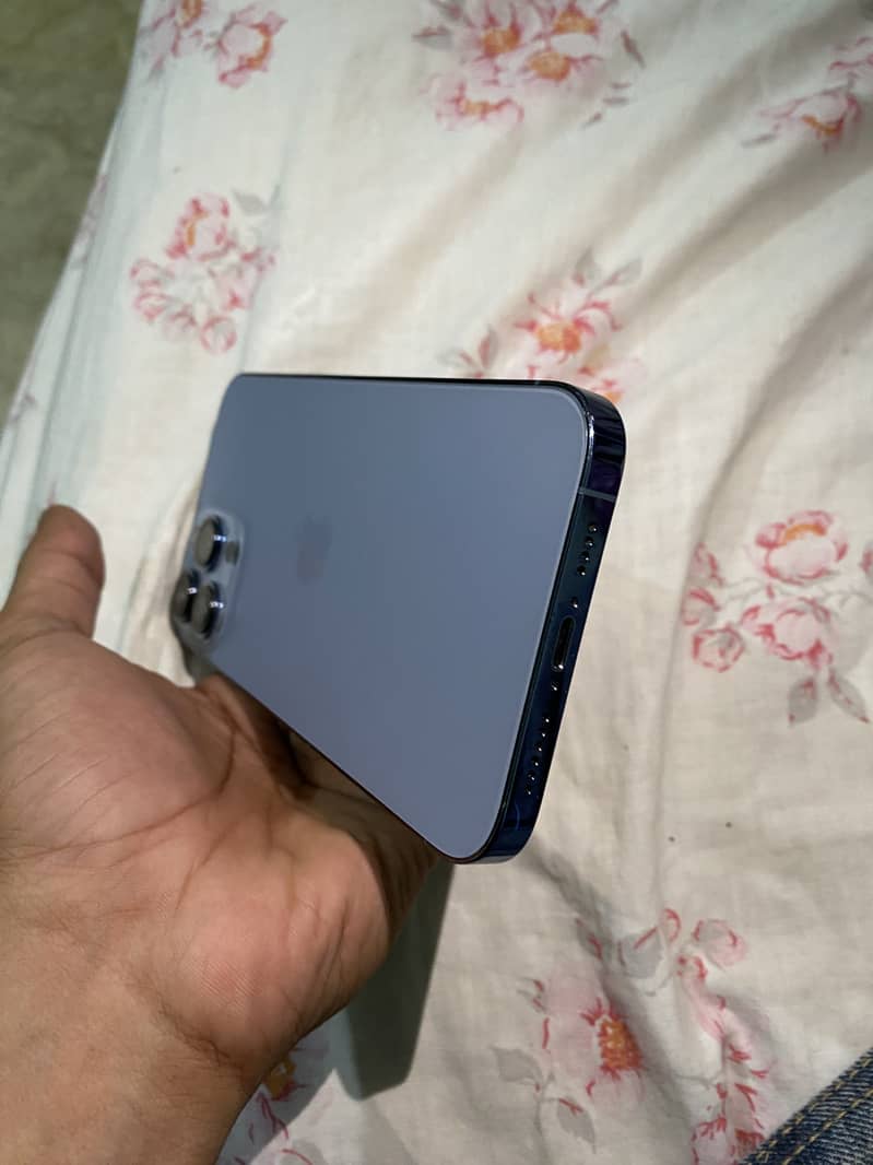 Apple iPhone 13 Pro Max 3