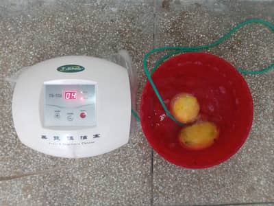 Fruit and vegetables germs cleaner