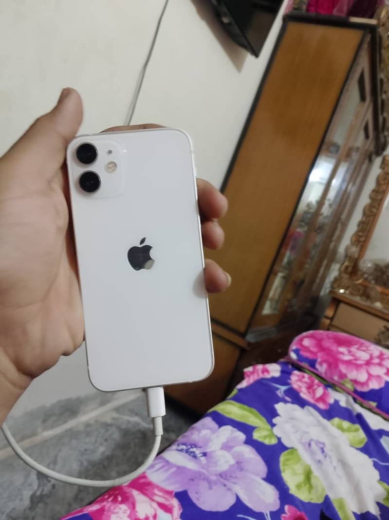 Apple iPhone 12 mini 1