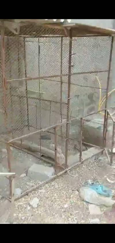 Hen and pigeon cages