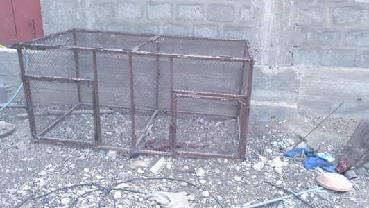Hen and pigeon cages