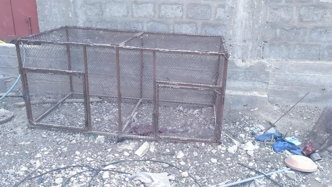 Hen and pigeon cages — photo 2