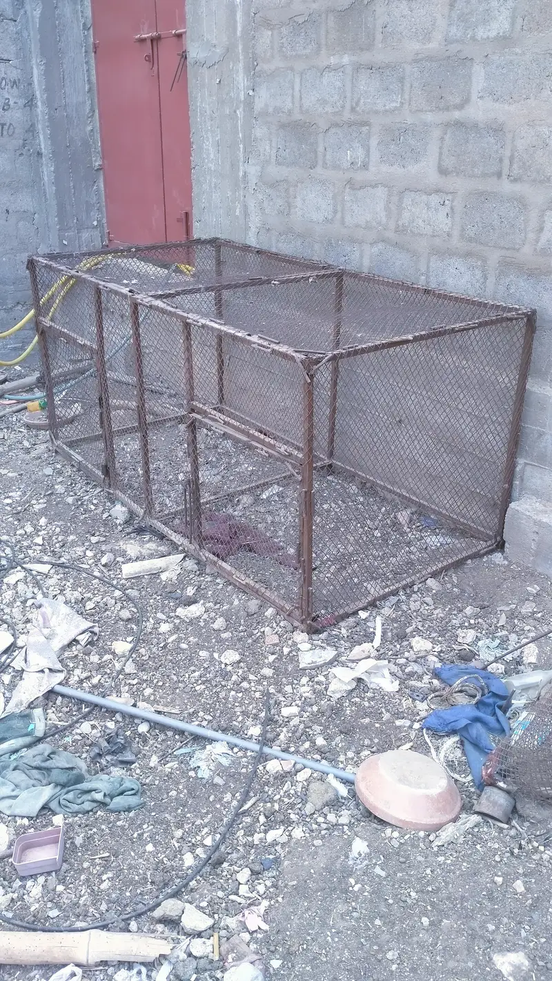 Hen and pigeon cages — photo 3