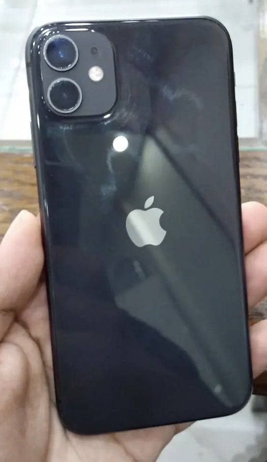 Apple iPhone 11 0