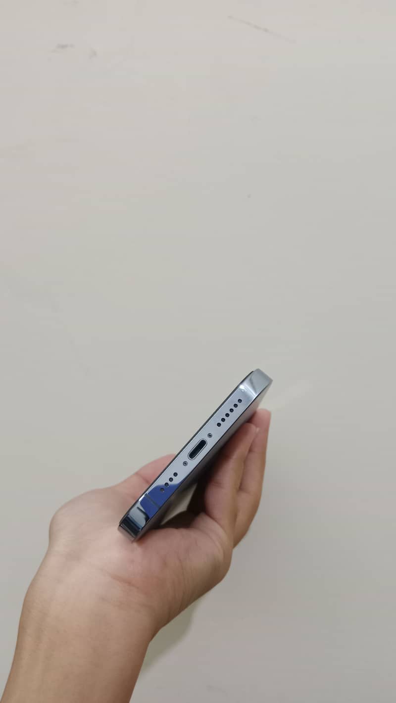 Apple iPhone 13 Pro Max 1