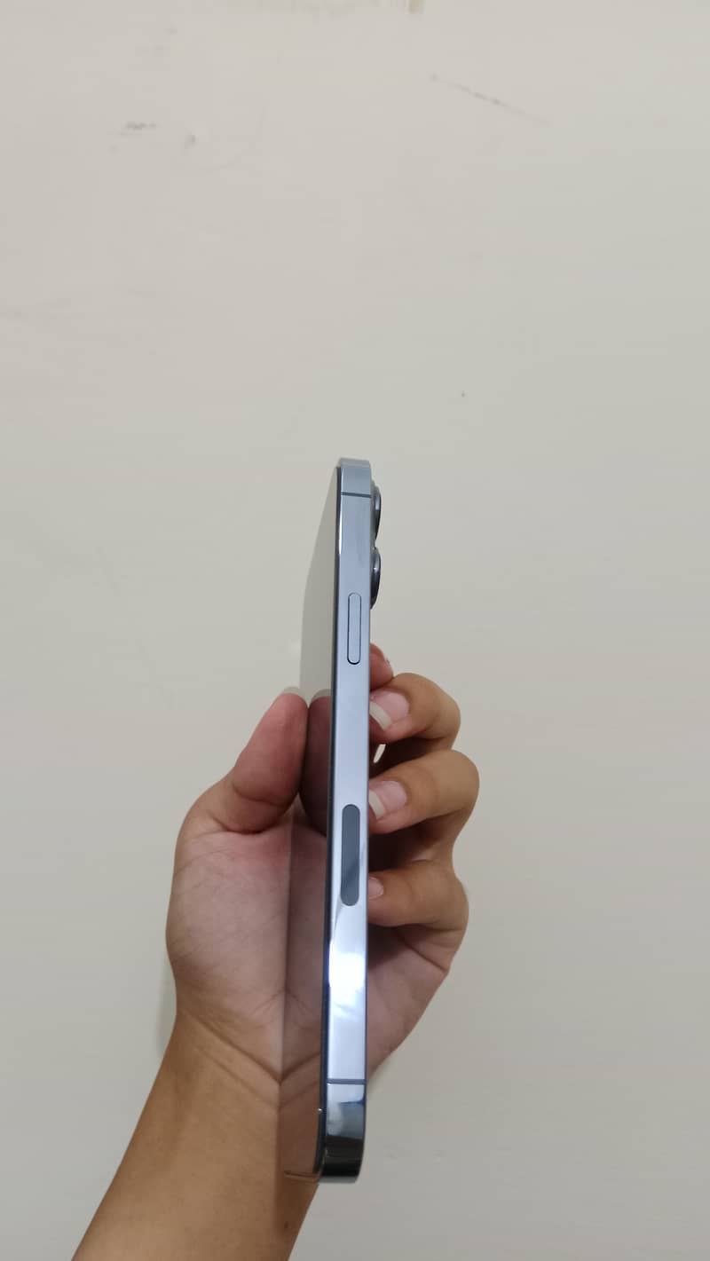 Apple iPhone 13 Pro Max 2