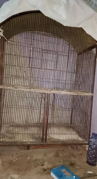 cocks and parrots cage