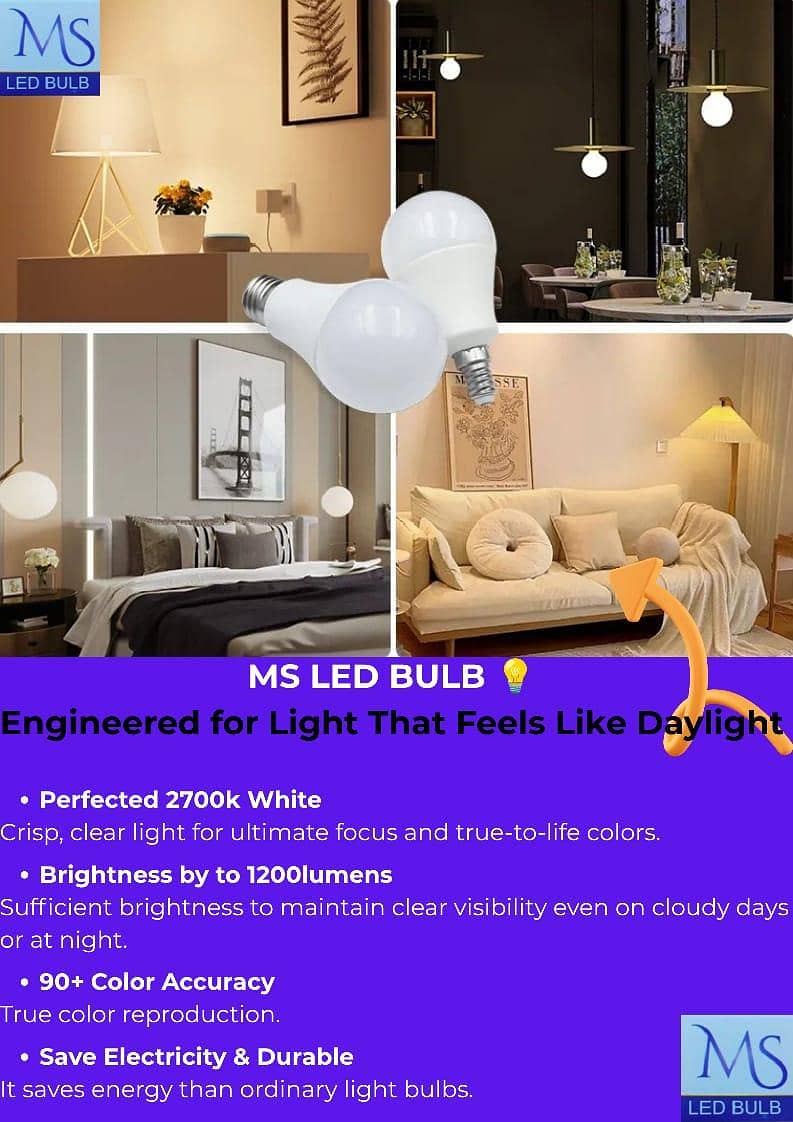 MS LED bulbs 2