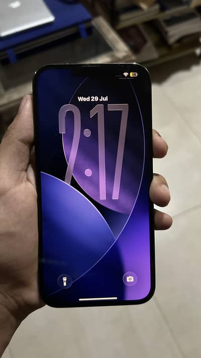 Apple iPhone 13 Pro Max