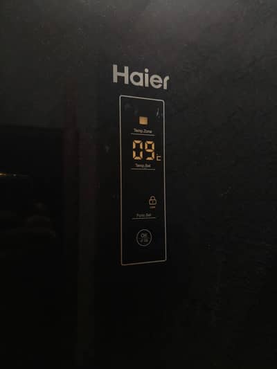 Hair refrigerator 408L