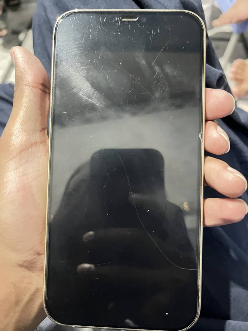 Apple iPhone 12 Pro Max 1