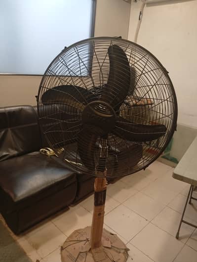 Fan for sale