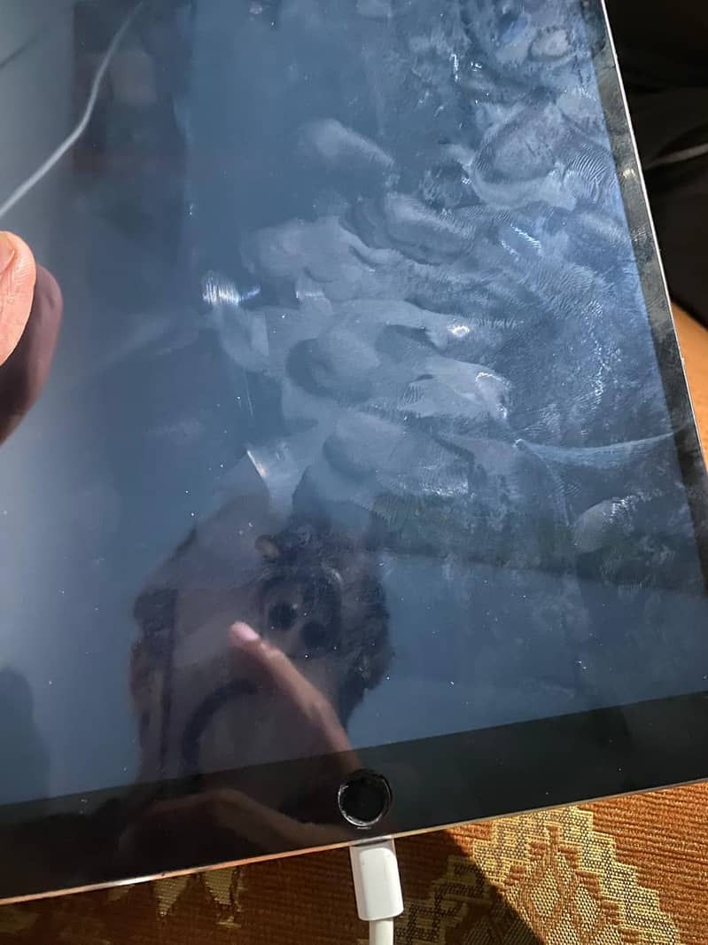 Apple ipad 1