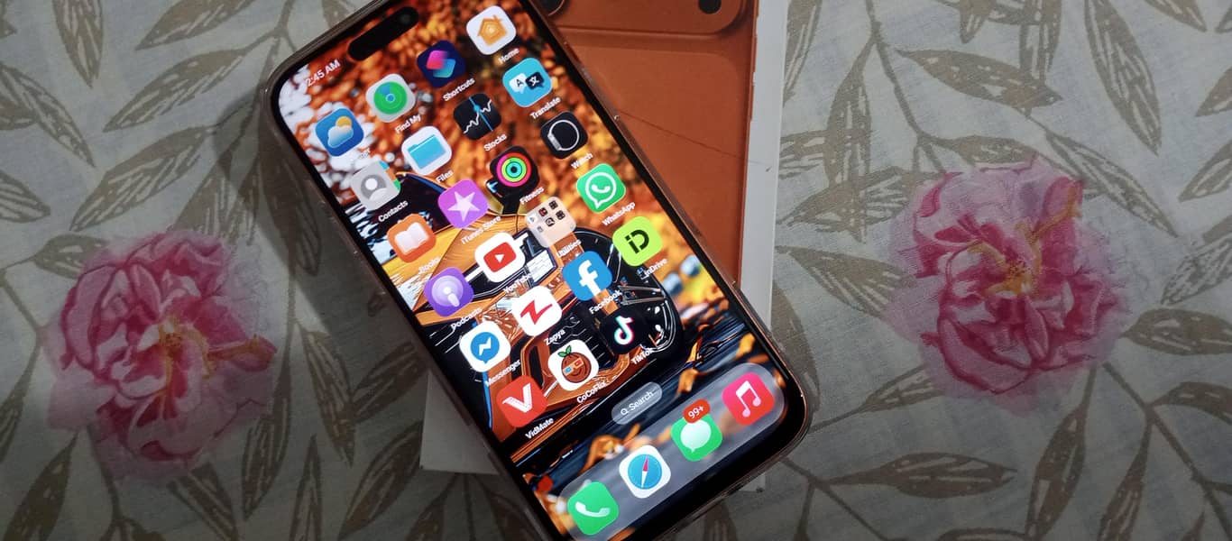 Apple iPhone 17 Pro Max 4