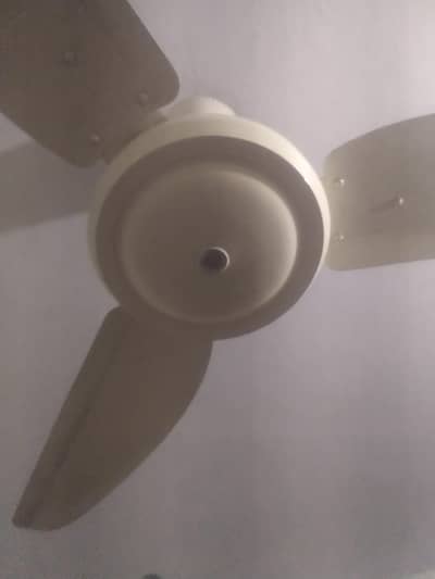 AC ~220 Fan