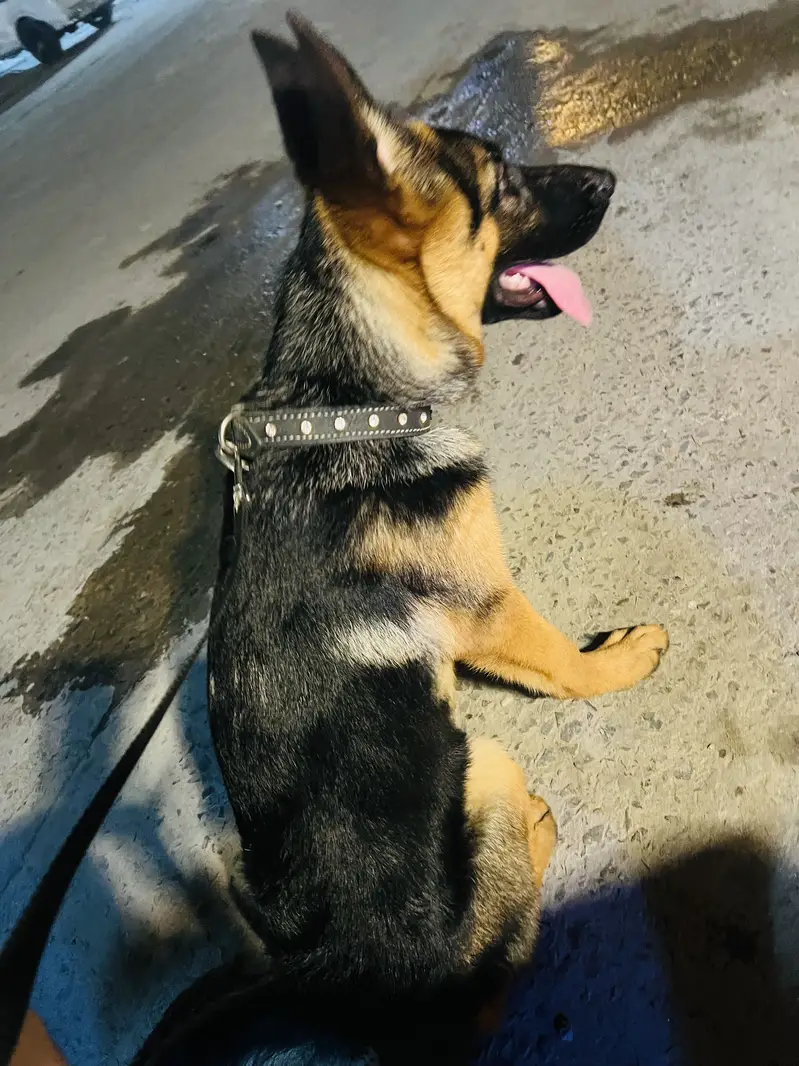4 month vaccinations completed — photo 2
