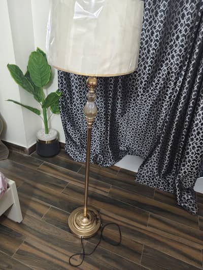 Laamp