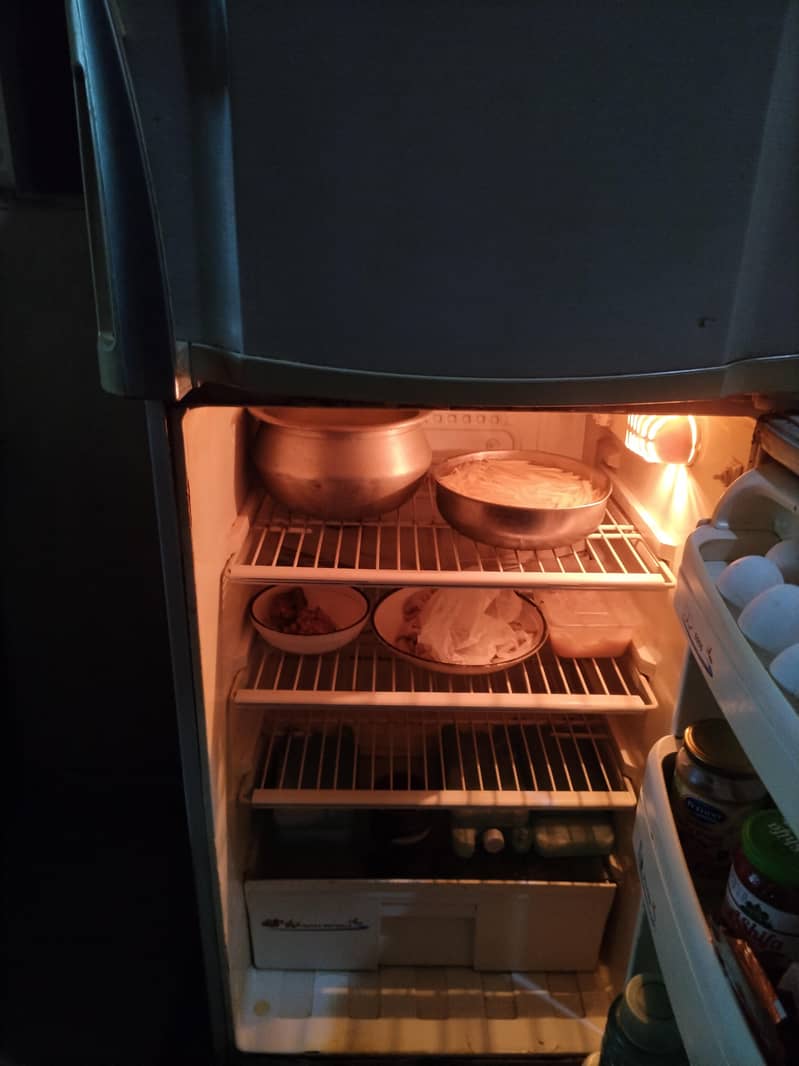 Pel fridge 5