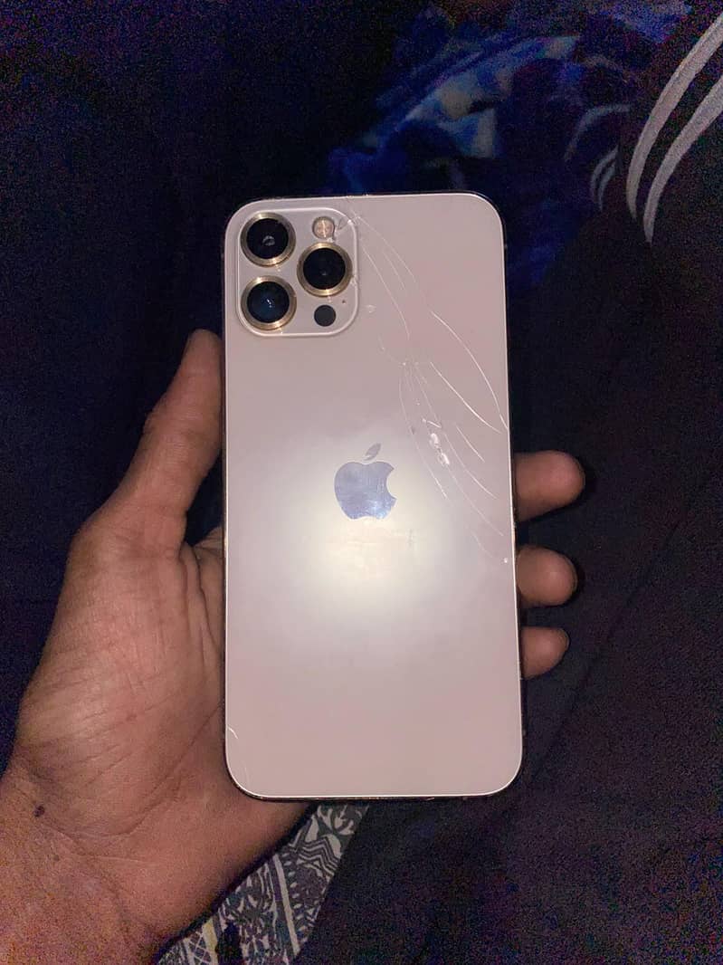 Apple iPhone 12 Pro Max 1