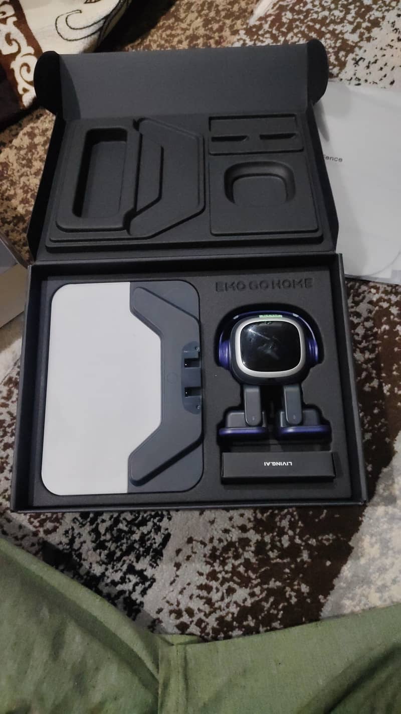 Desktop Robot Pet EMO 2