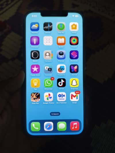 Apple iPhone 12 Pro Max