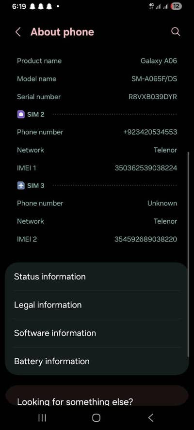 Samsung Mobile A06