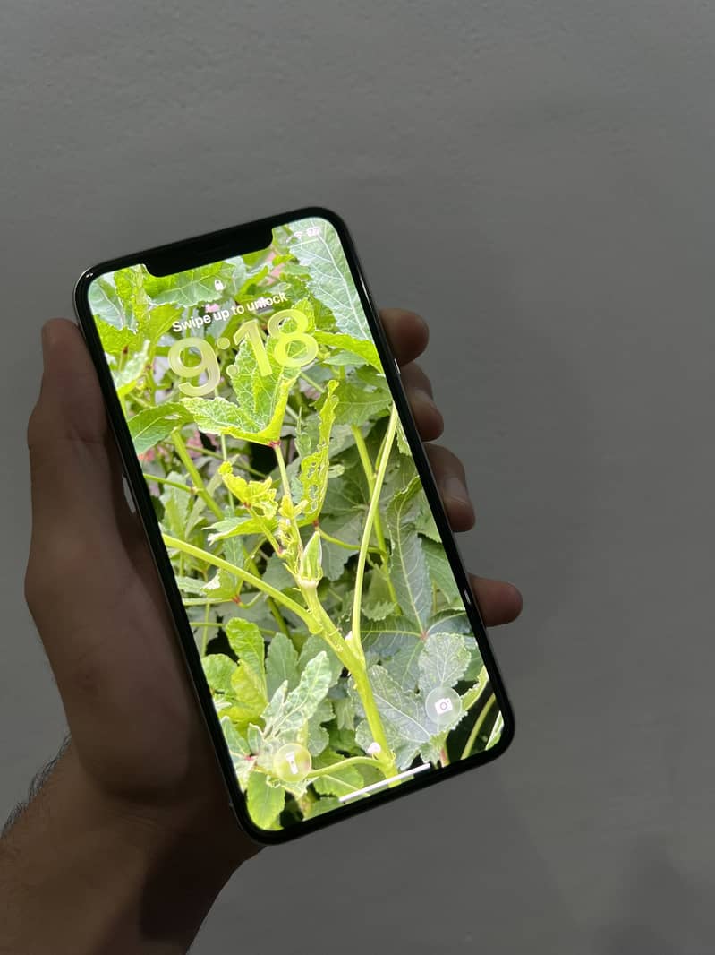 iPhone 11 Pro Max 1
