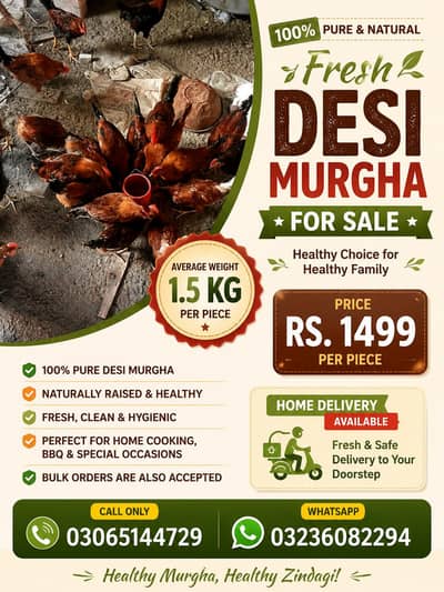  Pure Desi Murgha 1.5 KG Avg | Rs. 1499 | Home Delivery