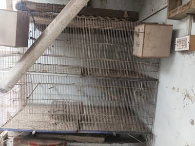 birds cage