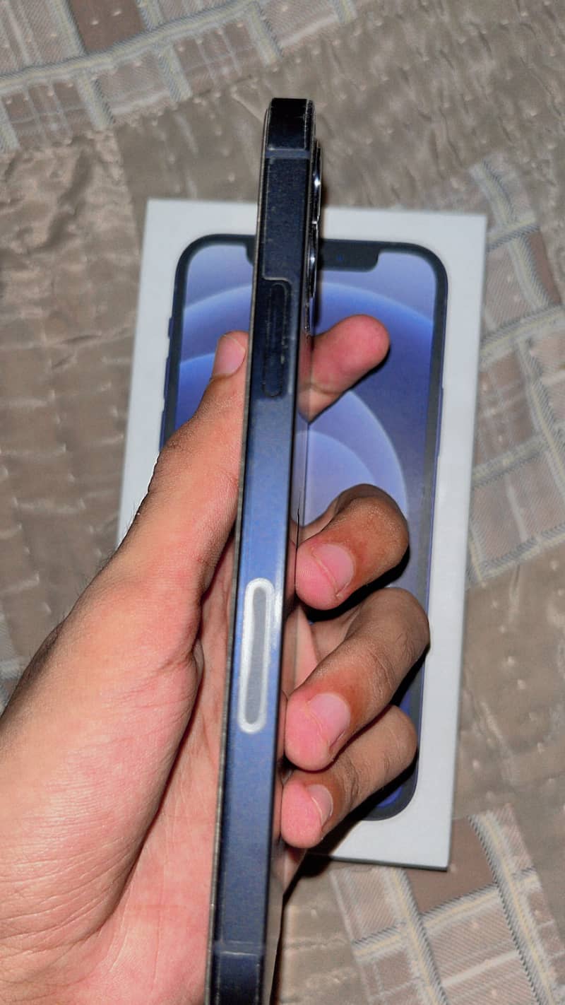 Apple iPhone 12 1