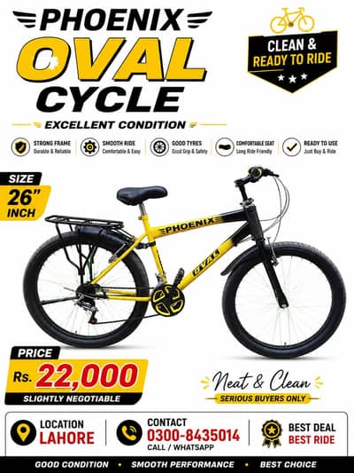 Phoenix Fat Tyre Cycle | Power, Style & Comfort