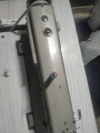 sali machine