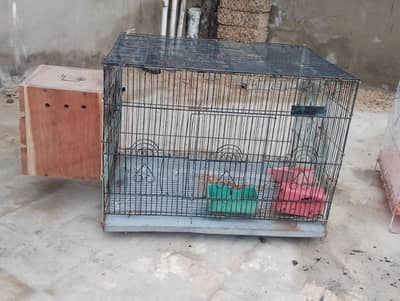 Ringneck cocktail and other small birds cage used